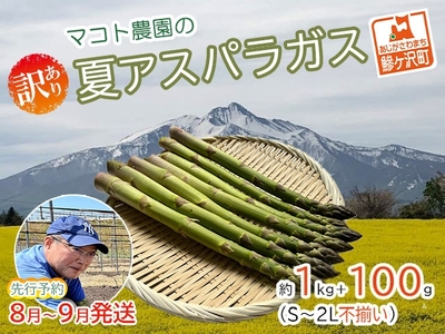 アスパラガス 先行予約 夏アスパラガス 約1kg+100g 約40本前後 S〜2L 訳あり 不揃い マコト農園 規格外 アスパラ グリーンアスパラ 野菜 旬 旬の野菜 産地直送 2026年 2026 予約 冷蔵配送 8月〜9月発送