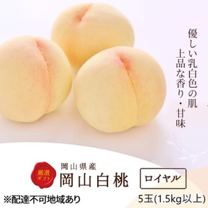 桃 2026年 先行予約 白桃 5玉 (1.5kg以上) 等級：ロイヤル 木箱入り もも モモ 岡山県産 国産 フルーツ 果物 セット ギフト