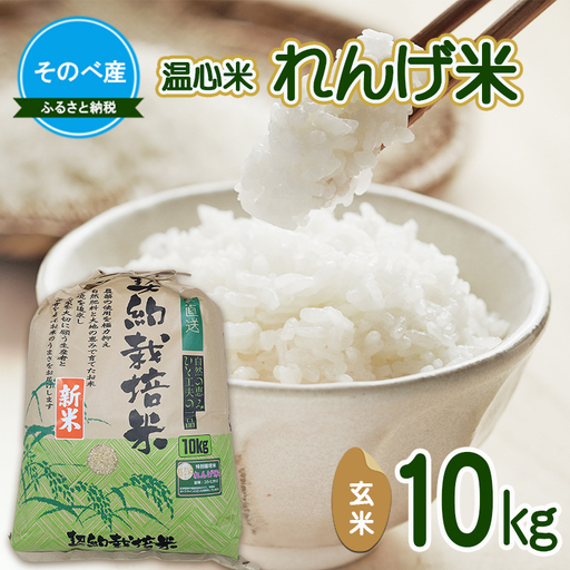 れんげ米10kg 玄米×1 令和7年度産　そのべ産 温心米 お米 単一原料米 こしひかり 丹波 精米 玄米 こめ コメ 京都