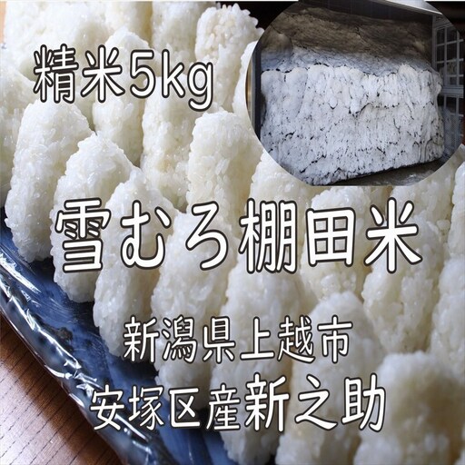 新之助 棚田米 精米 新之助 5kg 雪中貯蔵