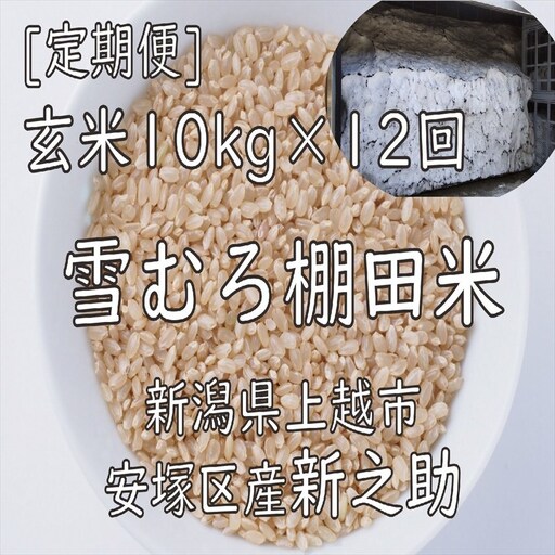【定期便12回】棚田米新之助 玄米 雪中貯蔵 新之助 10kg×12回120kg