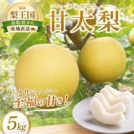八頭町産 梨「甘太梨」5kg[梨 なし ナシ 果物 フルーツ ギフト 先行予約 甘い 果実 果汁 デザート もぎたて 旬 新甘泉好きな方におすすめ]