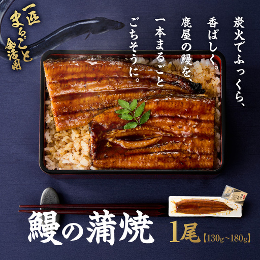 鰻の蒲焼 130g〜180g×1尾 KN026-020 魚 鰻