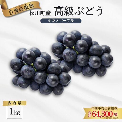 TK34　ぶどう ナガノパープル 約1kg ／2026年9月上旬～中旬頃 配送予定 // 贈答 長野県 南信州 ぶどう 葡萄 ナガノ パープル 種なし 皮ごと 果物 フルーツ
