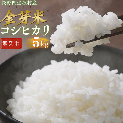 [2026年米 先行予約]金芽米 生坂村産コシヒカリ 無洗米 5kg 長野県産 | コシヒカリ