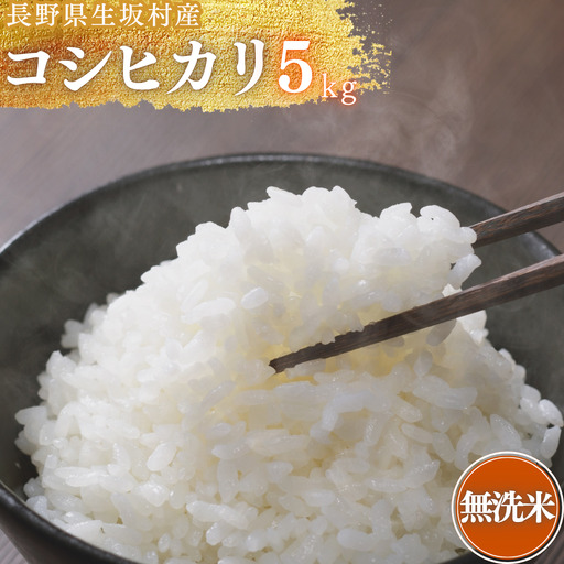 [2026年米 先行予約]コシヒカリ 無洗米 5kg (1袋) 株式会社野の香 | コシヒカリ