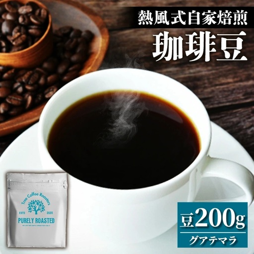 【完全受注焙煎】Tree Coffee Roasters「グアテマラ アンティグア レタナ ハイロースト」 200g - コーヒー 豆 自家焙煎 熱風式焙煎 贈り物