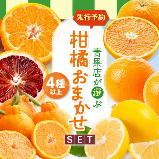 柑橘[3月上旬発送]柑橘おまかせセット[AGBN053]