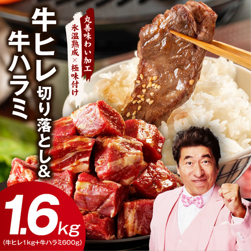 [氷温熟成×特製ダレ]牛ヒレ 1kg+牛ハラミ 600g 合計1.6kg