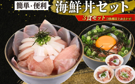 【 海鮮丼 】 海鮮丼 旬の魚3種以上 合計500g