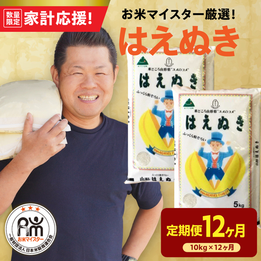 12ヶ月 定期便 令和7年産 はえぬき 10kg×12回 計120kg