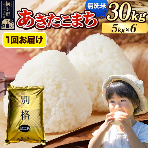 《令和7年産》 米 あきたこまち 30kg（5kg×6袋） 【無洗米】 秋田県産
