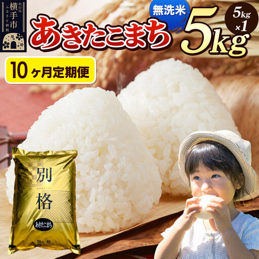 《令和7年産》《定期便10ヶ月》 米 あきたこまち 5kg 【無洗米】 秋田県産