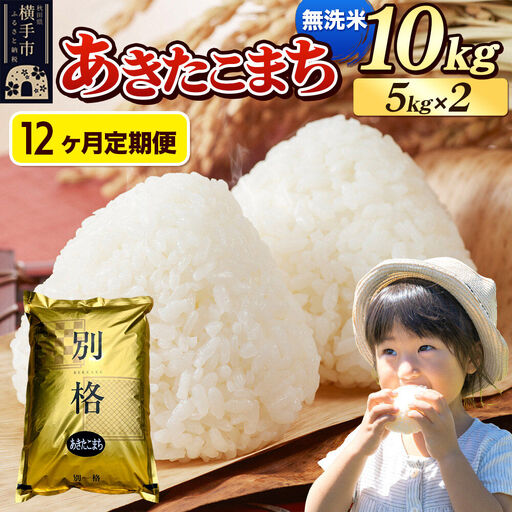 《令和7年産》《定期便12ヶ月》 米 あきたこまち 10kg（5kg×2袋） 【無洗米】 秋田県産