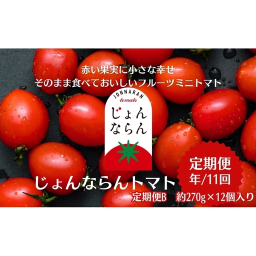 モリヒロ園芸が育てたじょんならんトマトの定期便B　約270g×12個入り（年間11回） 野菜 ミニトマト 甘い フルーツ サラダ