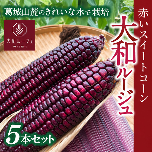とうもろこし 先行予約 奈良県産 大和ルージュ 計5本 令和8年産 [2026年7月中旬〜10月中旬順次発送]葛城市[smlk036]