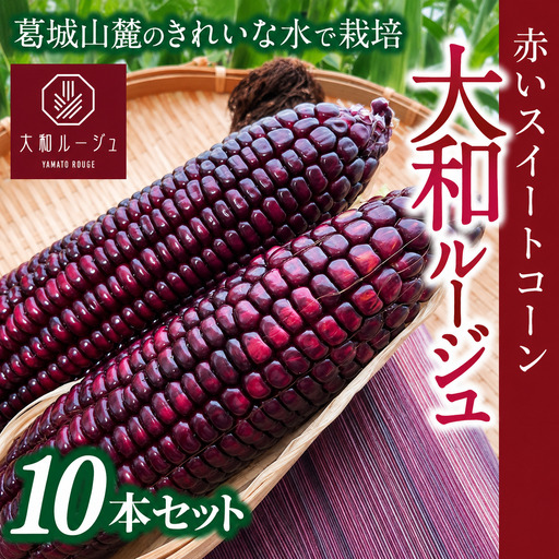 とうもろこし  先行予約 奈良県産 大和ルージュ 計10本 令和8年産 【2026年7月中旬～10月中旬順次発送】 葛城市【smlk037】