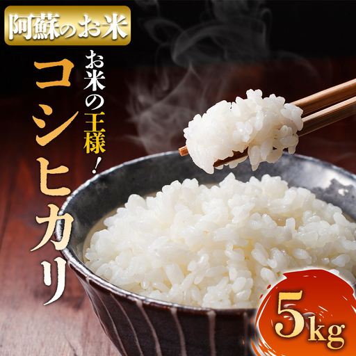 R7年産コシヒカリ 5kg プロ厳選の産地直送米　白米 お米 人気 美味しい 白ご飯 こだわり 農業 甘味 香り ツヤ お米の王様 熊本県 阿蘇市