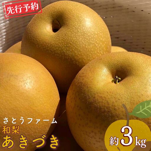 先行予約 あきづき 約3kg 令和8年 新潟県産 和梨 三条市 さとうふぁ~む