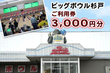 ビッグボウル杉戸 ご利用券 3千円分|ボーリング アクティブ スポーツ 遊び 東武動物公園駅 杉戸 埼玉 [0695]