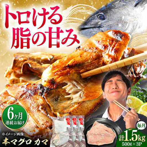 【全6回定期便】対馬産 本マグロ カマ 1.5kg ≪対馬市≫【桐谷商店】 トロの華 対馬 新鮮 マグロ かま 鮪[WAQ101]