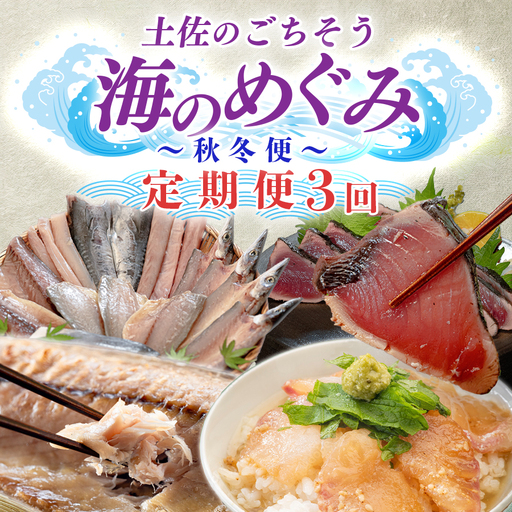 【定期便 3回】土佐のごちそう 海のめぐみ 海鮮 秋冬便 藁焼き 鰹たたき 一夜干し 干物 漬け丼