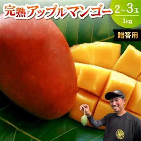 【2027年6月下旬から順次発送・贈答用】みなとばる農園の完熟アップルマンゴー1kg(2～3玉)【配送不可地域：離島】【1700015】