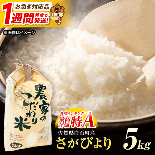 【スピード発送】令和7年産 さがびより（白米） 5kg [IBG018]