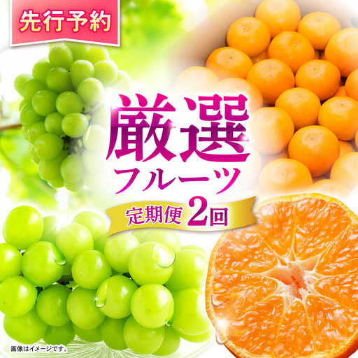 [2回定期便]※[2026年シーズン発送/先行予約]フルーツ定期便 シャインマスカット 約1.3kg(2房から3房) / 温州みかん(10kg) 家庭用 / フルーツ 果物 シャインマスカット みかん / 諫早市 / 肥前グローカル株式会社[AHDI012]