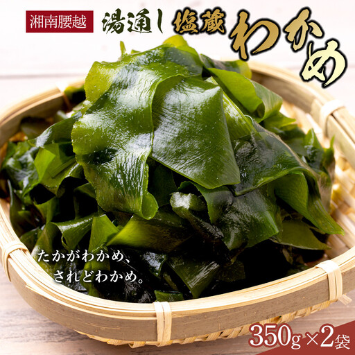 【湘南腰越名産！】湯通し「塩蔵わかめ」350g×2袋