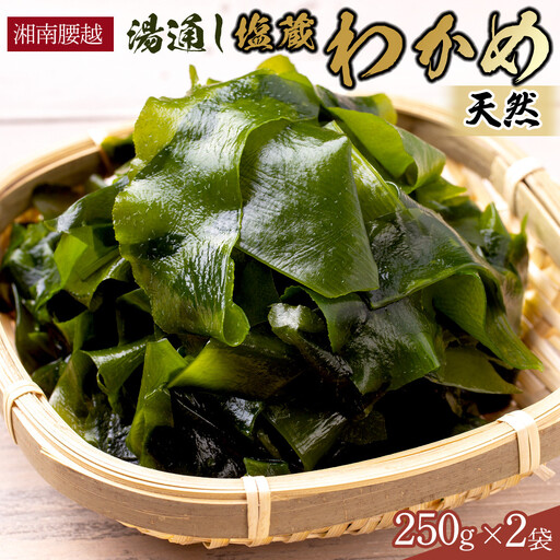 【湘南腰越名産！】湯通し「天然塩蔵わかめ」250g×2袋