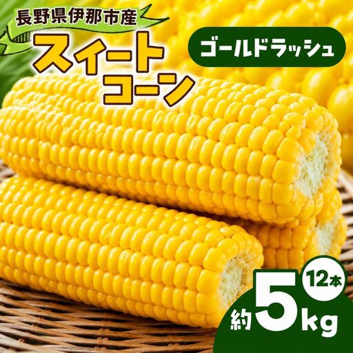 とうもろこし 伊那市産 スイートコーン 約5kg 2Lサイズ 12本入り ゴールドラッシュ 【013-53】