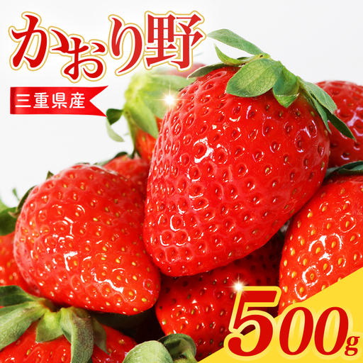 [2027年2月中旬から順次発送] 苺 かおり野 500g 250g×2パック 苺