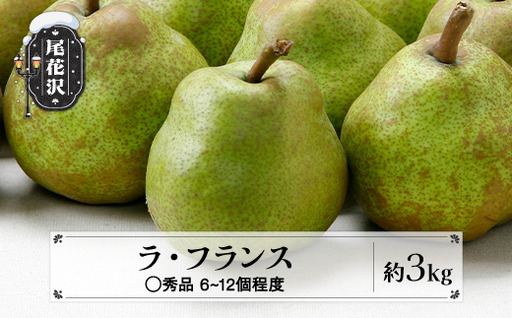先行予約 ラ・フランス ◯秀品 約3kg 令和8年産 2026年産 佐竹物産 sb-lamsx3