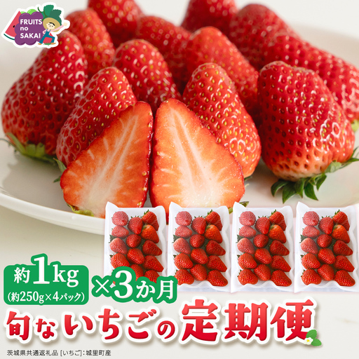 【定期便】旬ないちご品種おまかせ3ヶ月連続お届け便 （約250g×4パック）×3回【2027年1月から発送開始】（茨城県共通返礼品 [いちご]：城里町産） 果物 くだもの フルーツ イチゴ 苺 旬 品種おまかせ 人気 フルーツ 果物