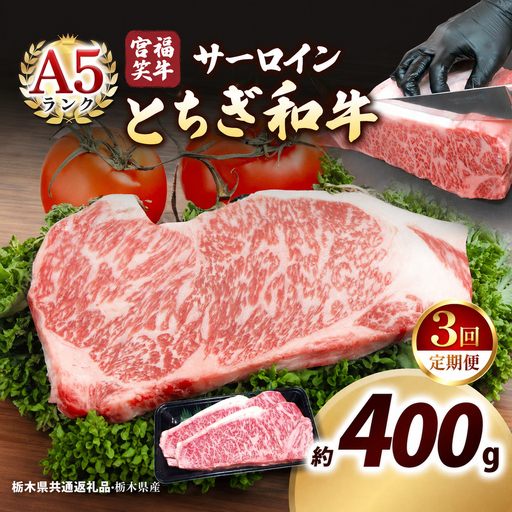 [定期便3回]宮福笑牛(とちぎ和牛) A5 サーロインステーキ 200g×2枚｜数量限定 黒毛 和牛 お肉 栃木県共通返礼品 栃木県産