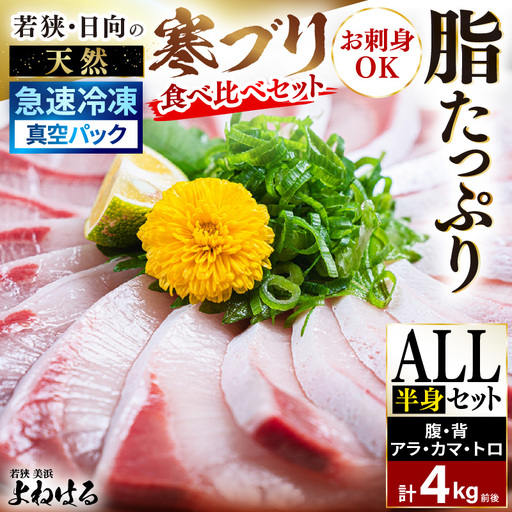 [先行予約]若狭・日向の天然寒ブリ 脂たっぷり 部位ごと食べ比べ ALL半身分セット (腹+背+トロ+アラ+カマ 計4kg前後)[2026年12月下旬以降順次発送]寒ぶり [m17-j004]