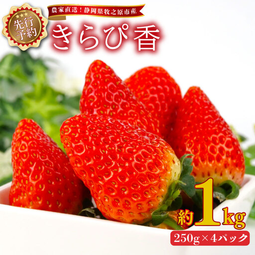 【 期間限定 】 苺 きらぴ香 1kg 苺