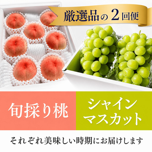 厳選した桃と大粒のシャインマスカットが届く満足便!2回便 (定期便)(岡山県産)[KF-T036-01]