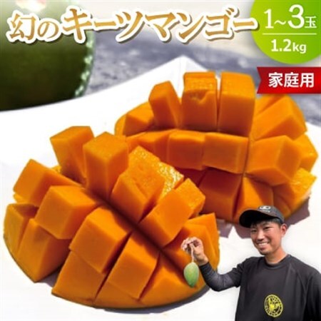 【2026年8月下旬から順次発送・家庭用】みなとばる農園の幻のキーツマンゴー1.2kg(1～3玉)【配送不可地域：離島】【1699828】