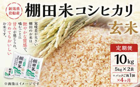 【定期便：4ヶ月連続でお届け】【令和7年産米】新潟県村上市岩船産 棚田米コシヒカリ 玄米10kg ＋ 棚田米コシヒカリのパックごはん(150g×1個)×4ヶ月 1067125