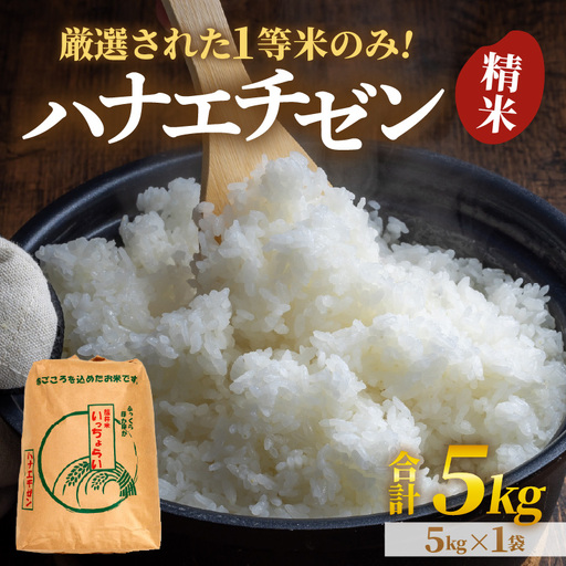 【先行予約】【令和8年産・新米】【一等米】ハナエチゼン 精米 5kg ×1袋《発送直前精米！》 ／ ブランド米 華越前 ご飯 お米 白米 新鮮 あわら市産 農家直送 大賞 受賞 新米 ※2026年9月上旬以降順次発送予定 [aw012-a034]