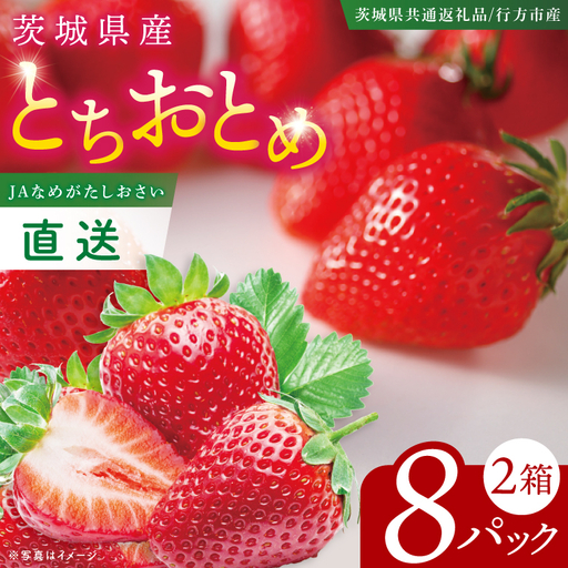 いちご とちおとめ イチゴ 苺 2箱 8パック JAなめがたしおさい直送 大粒 酸味 甘さ 減農薬 果物 フルーツ 冬 旬 【茨城県共通返礼品/行方市産】【先行予約｜2026年1月上旬より順次発送】(96-02)