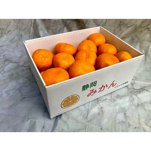 2026年12月下旬より順次発送 静岡県産 青島みかん 2.5kg お試しサイズ