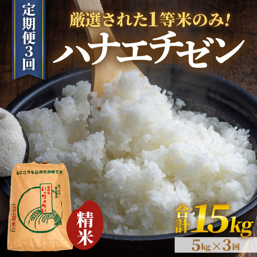 [先行予約][令和8年産・新米][一等米][定期便3回] ハナエチゼン 精米 5kg × 3回(15kg)[発送直前精米!] / 福井県産 ブランド米 ご飯 白米 お米 コメ 新鮮 大賞 受賞 新米 ※2026年9月上旬以降順次発送予定 [aw012-b027]