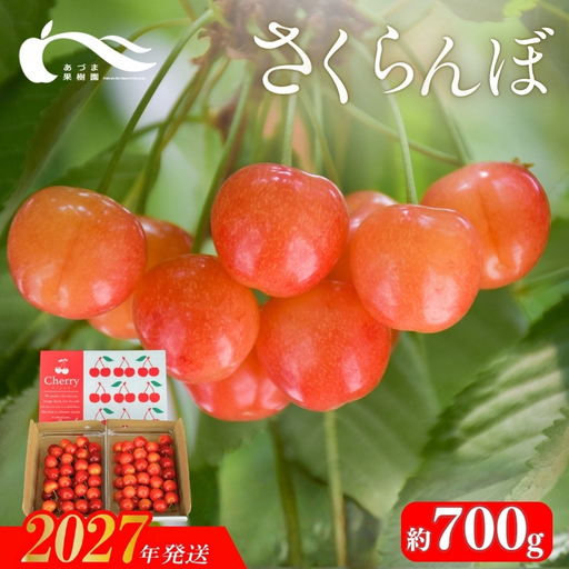さくらんぼ（佐藤錦又は紅秀峰約700g)【2027年発送】No.3263