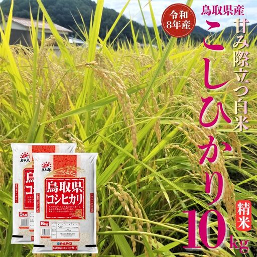 選べる 内容量 こしひかり コシヒカリ 精米 10kg 令和8年産 鳥取県 送料無料 お米 米 ご飯 銘柄米 こめ 白米 おにぎり おむすび 甘い ツヤ 銘柄 湯梨浜町 国産 2026年産 JA 人気 おすすめ 冷めてもおいしい | 356M
