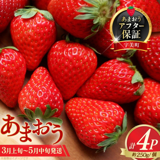 いちご あまおう 約250g×4P 3月上旬 ～ 5月中旬 いちご