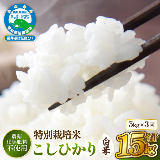 定期便 3ヶ月 新米[令和8年産] 特別栽培コシヒカリ5kg × 3回(白米)農薬化学肥料不使用[10月中旬以降発送] [e81-e002_01]