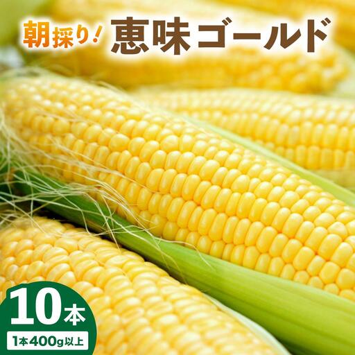 [先行予約]朝取りスイートコーン「恵味ゴールド」10本入り|コーン とうもろこし 岩見沢市 野菜 北海道[a167-001]